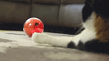 PlayDate Interactive Dog Toy - Doy Toy Ball With Camera Control From Anywhere In The World