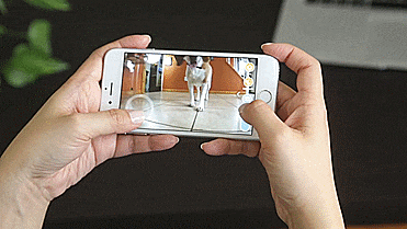PlayDate Interactive Dog Toy - Doy Toy Ball With Camera Control From Anywhere In The World