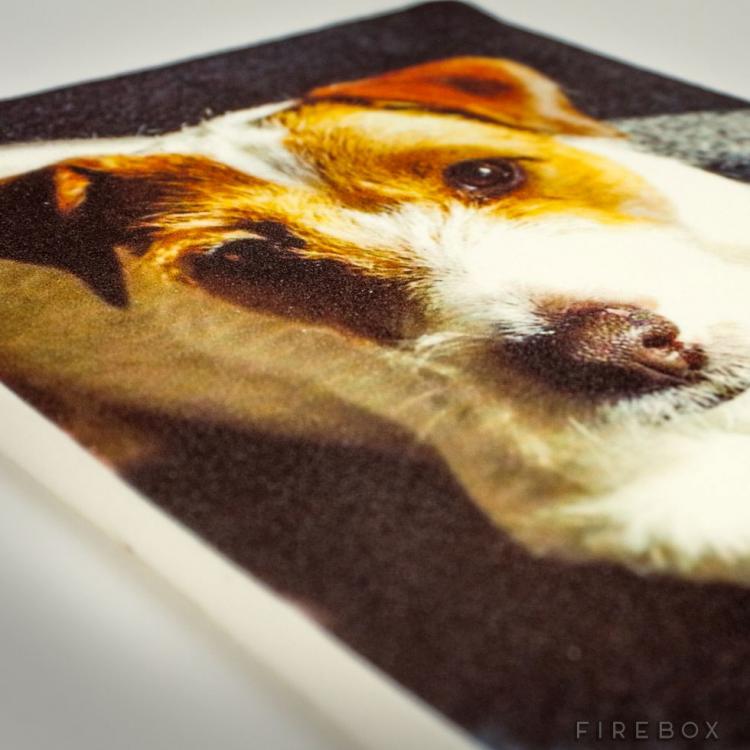 Plump Face Print Your Face On A Giant Flat Marshmallow