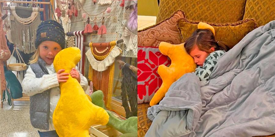 Plush Dinosaur Shaped Chicken Nuggets Pillows