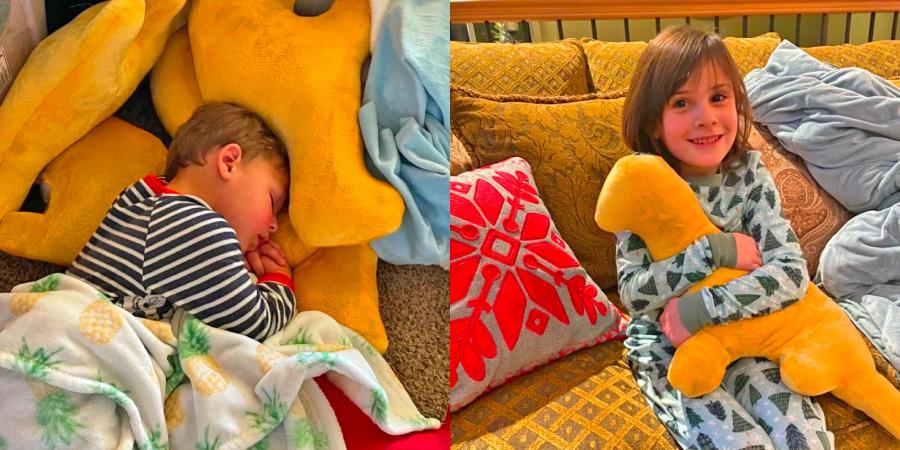 Plush Dinosaur Shaped Chicken Nuggets Pillows