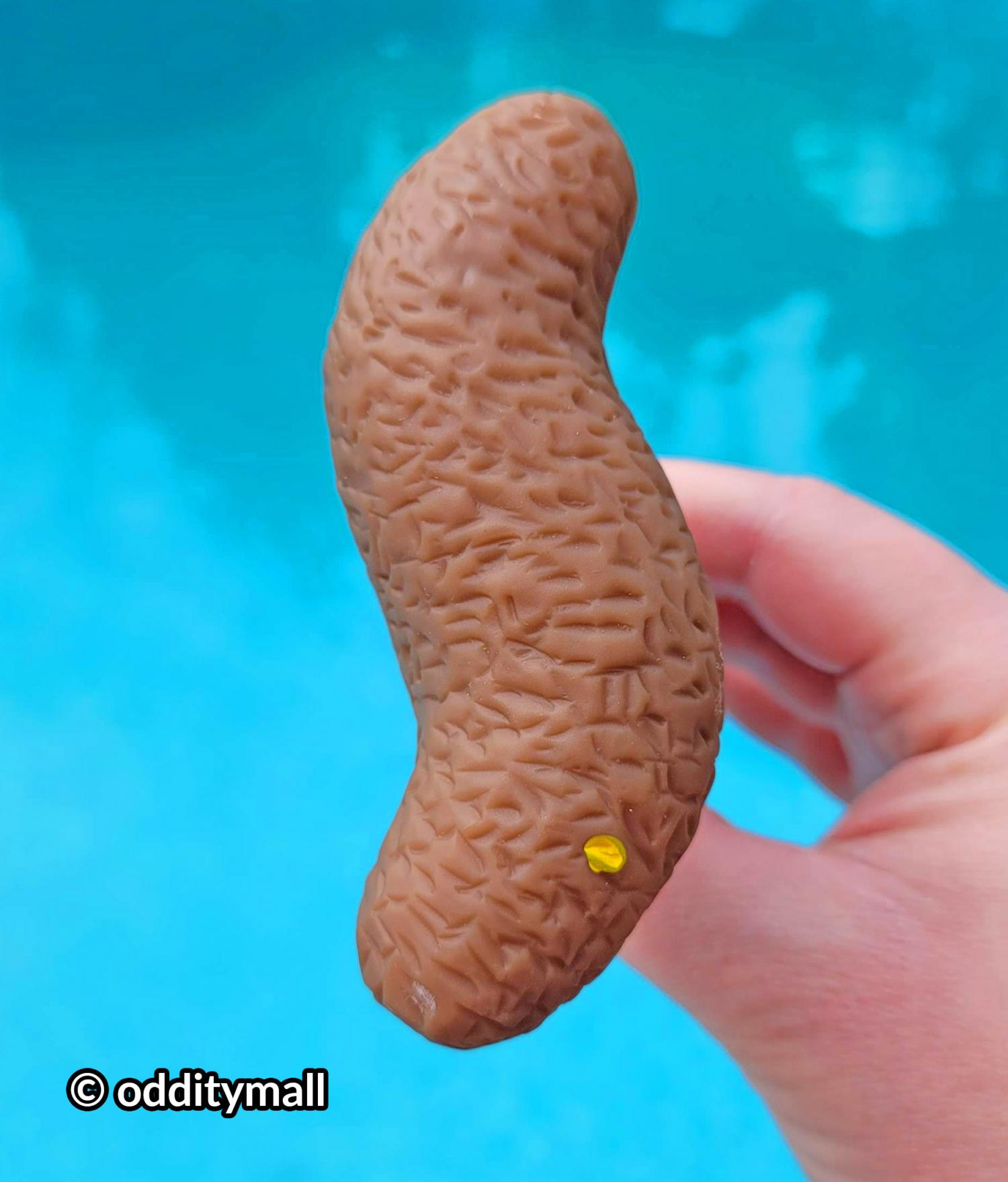 Poop Shaped pool thermometer - poo thermometer