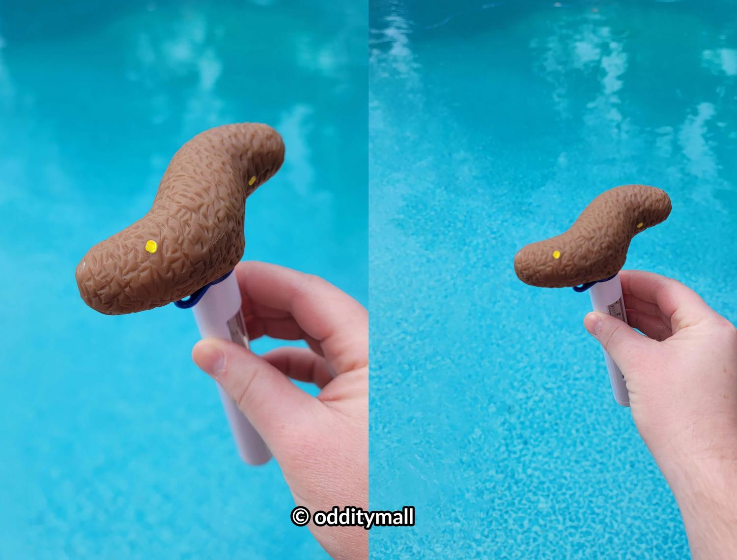 Poop Shaped pool thermometer - poo thermometer