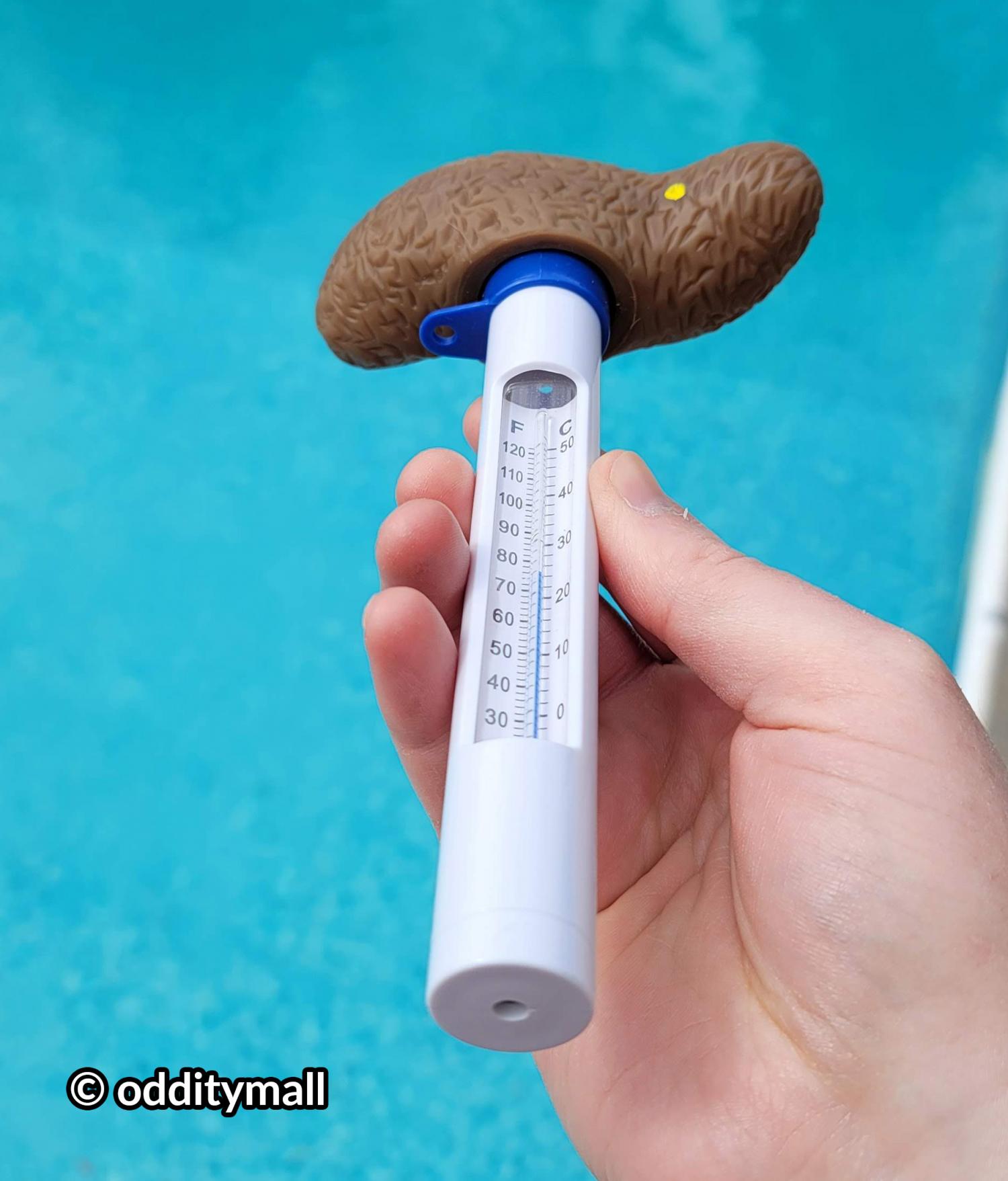 Poop Shaped pool thermometer - poo thermometer