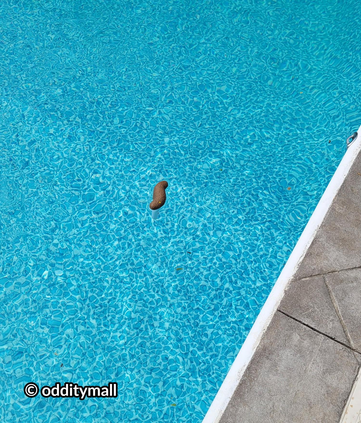 Poop Shaped pool thermometer - poo thermometer
