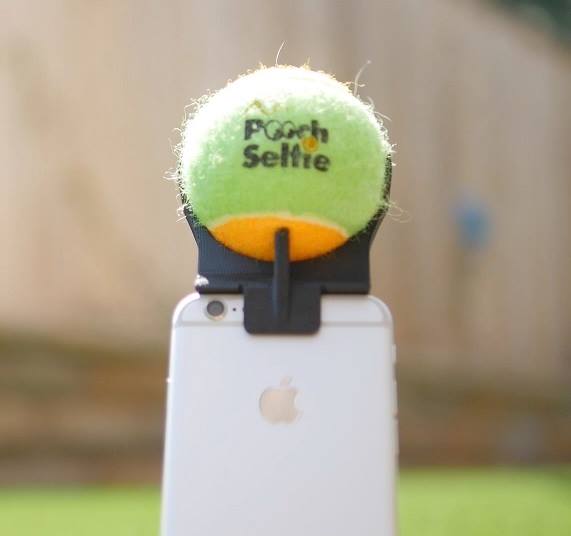 Pooch Selfie - Smart Phone Ball Holder For Dog Selfies