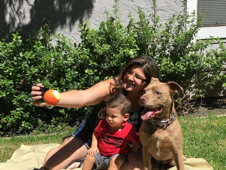 Pooch Selfie - Smart Phone Ball Holder For Dog Selfies