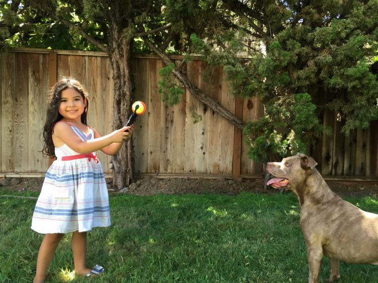 Pooch Selfie - Smart Phone Ball Holder For Dog Selfies
