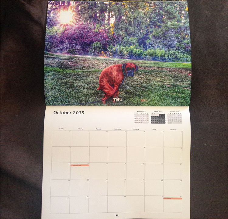 Pooping Dogs Calendar 2015