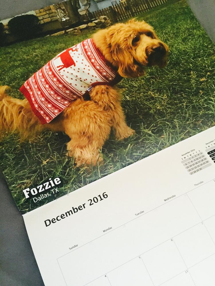 Pooping Dogs Calendar 2016