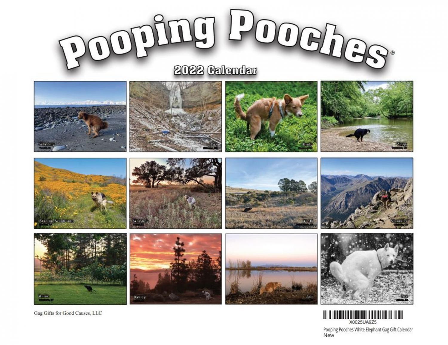 Pooping Dogs Calendar 2022