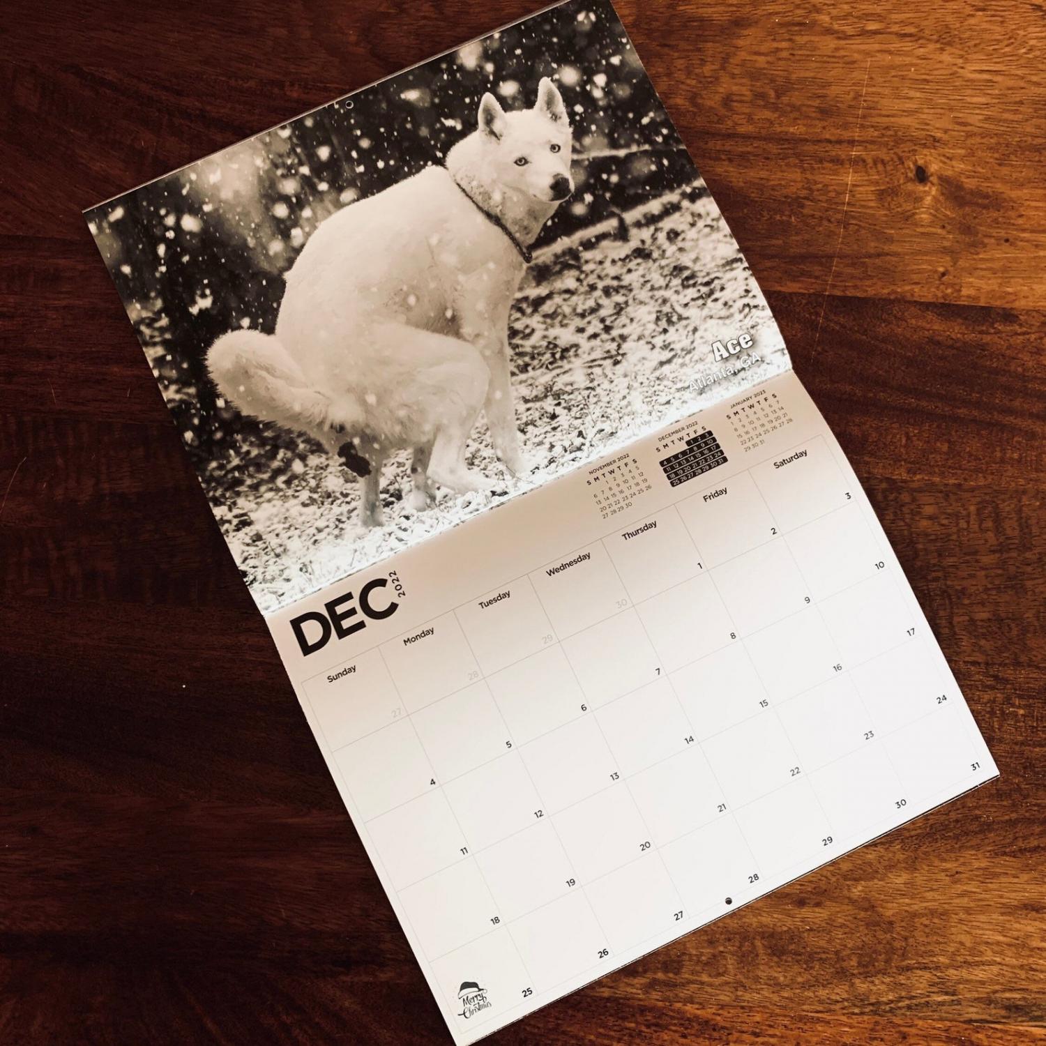 Pooping Dogs Calendar 2022