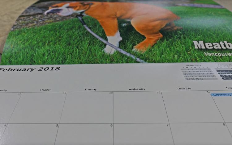 Pooping Pooches Calendar 2018 - Pooping Dogs Calendar