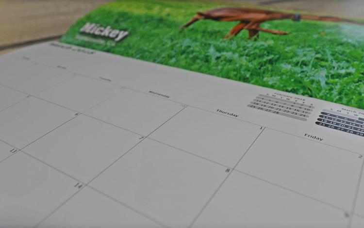 Pooping Pooches Calendar 2018 - Pooping Dogs Calendar