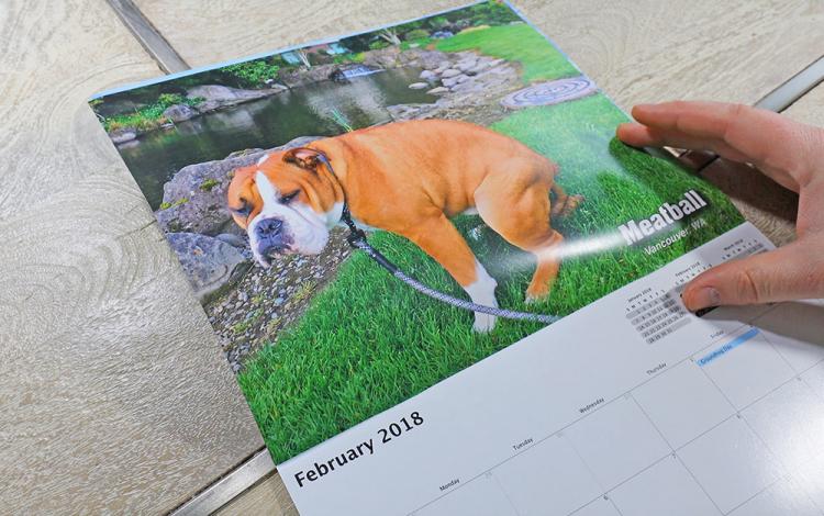 Pooping Pooches Calendar 2018 - Pooping Dogs Calendar