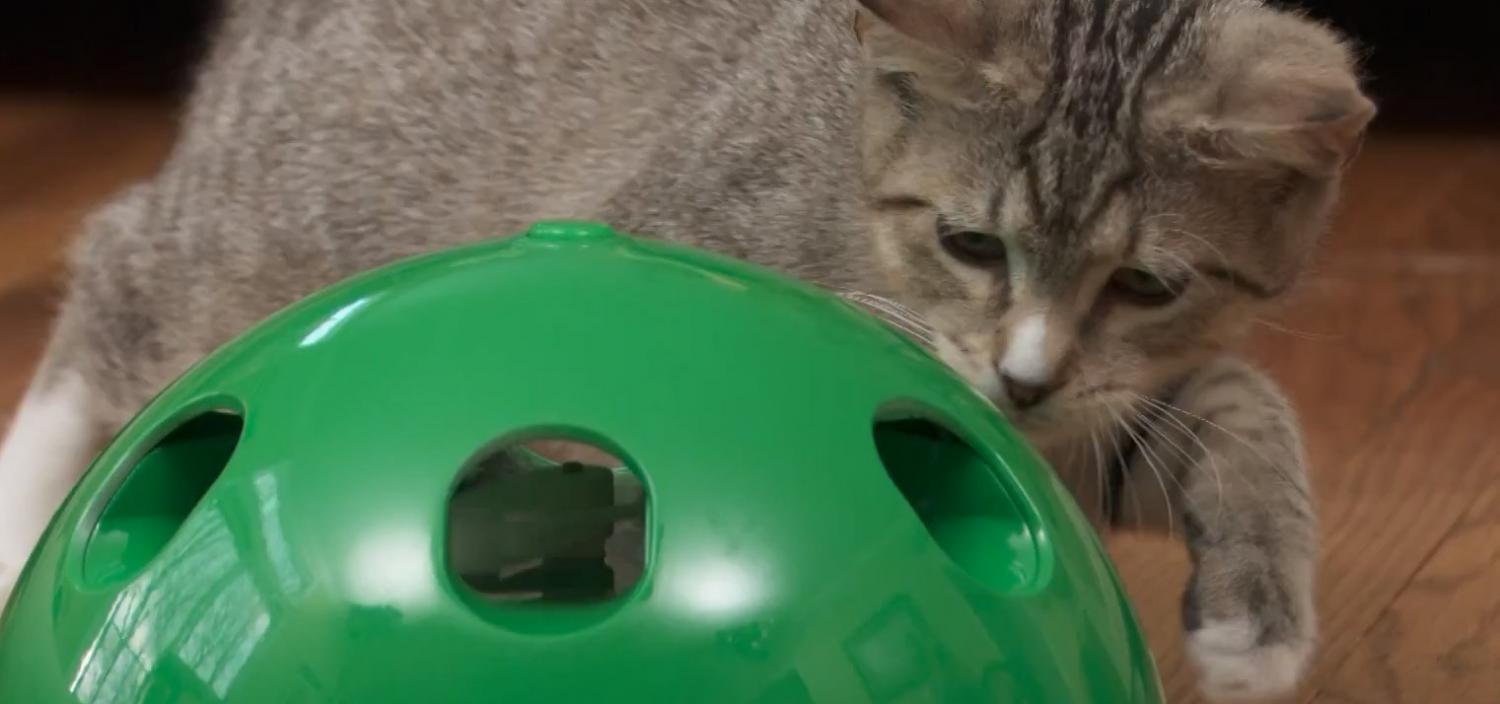 Pop N' Play Cat Teaser - Automatic rotating cat toy dome