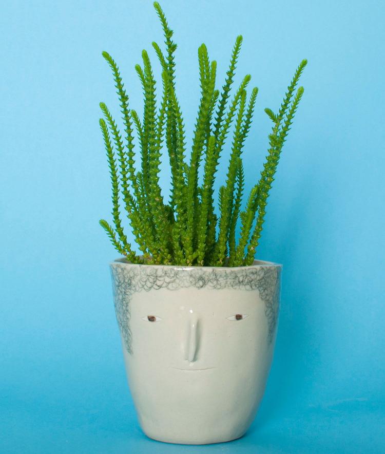 Pot Heads - Head Shaped Planter Pots