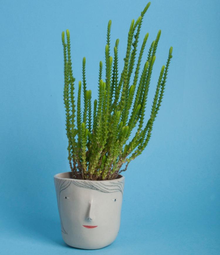 Pot Heads - Head Shaped Planter Pots