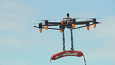 ProDrone - Robotic Drone With Arms - Armed Robot Drone - Drone with arms that can carry stuff