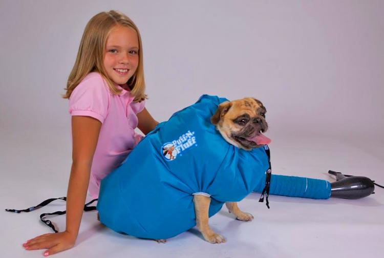 Puff-N-Fluff Dog Dryer - Inflatable dog dry uses blow-dryer to dry dog in seconds