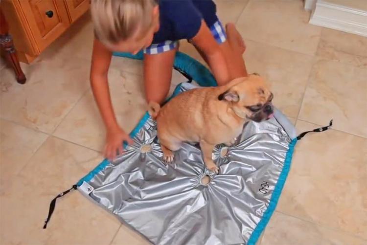 Puff-N-Fluff Dog Dryer - Inflatable dog dry uses blow-dryer to dry dog in seconds