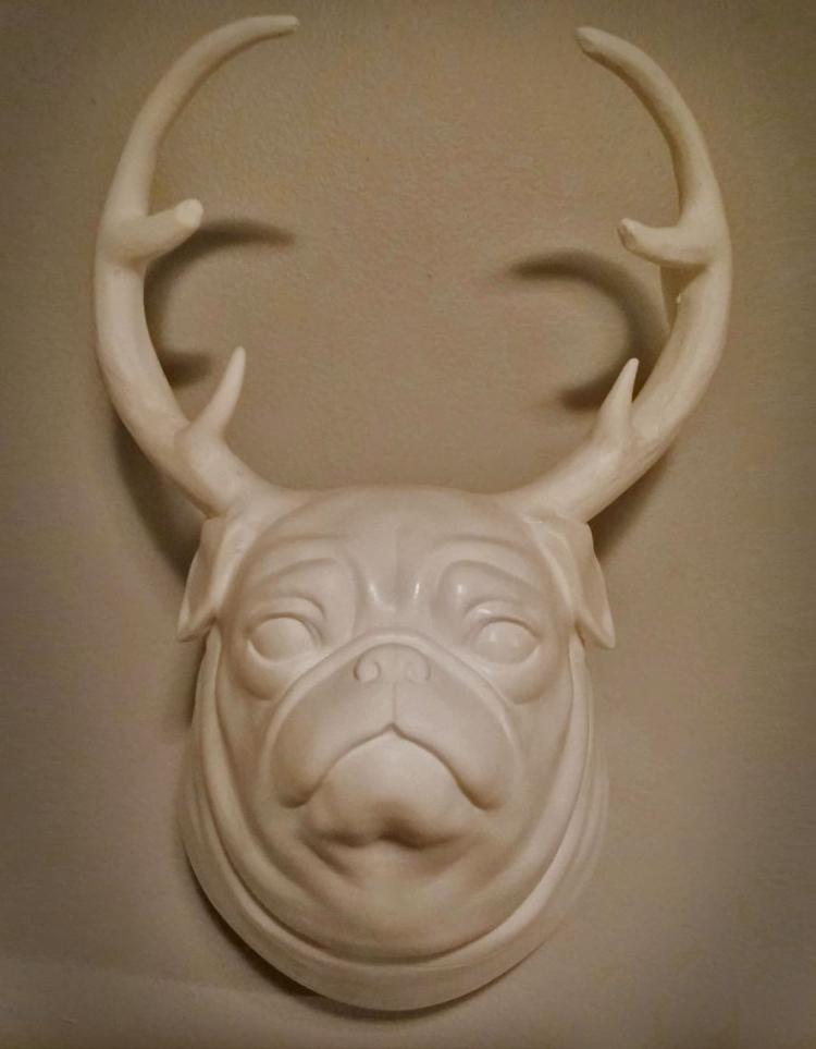 Pugalope: A Wall Mounted Pug With Antlers