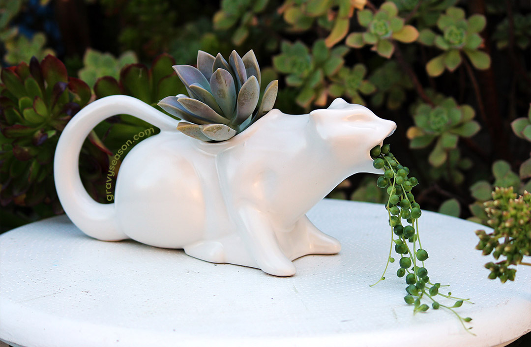 Puking Cat Gravy Boat - Vomiting Kitty Sauce Server