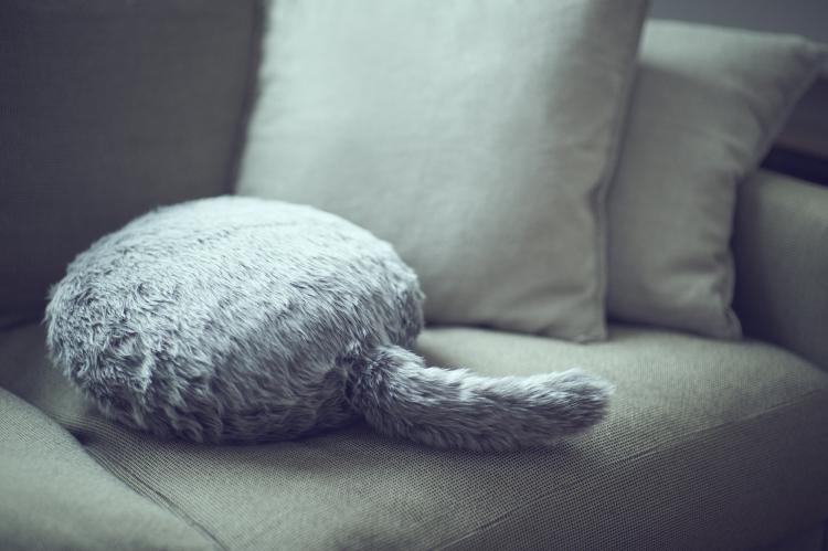 Qooboo Robotic Fake Cat That Wags Its Tail - Weird fake cat robot