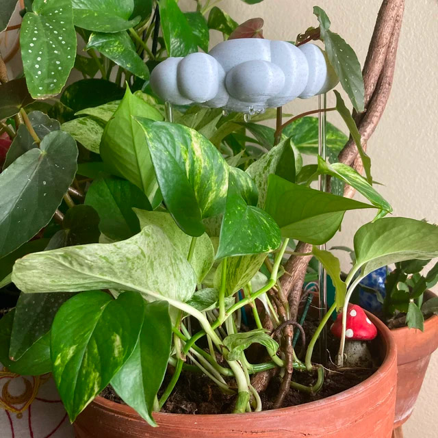 Rain Cloud Dripping Cloud Plant Waterer