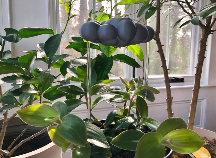Rain Cloud Dripping Cloud Plant Waterer
