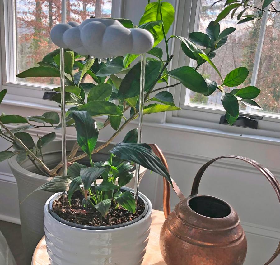 Rain Cloud Dripping Cloud Plant Waterer