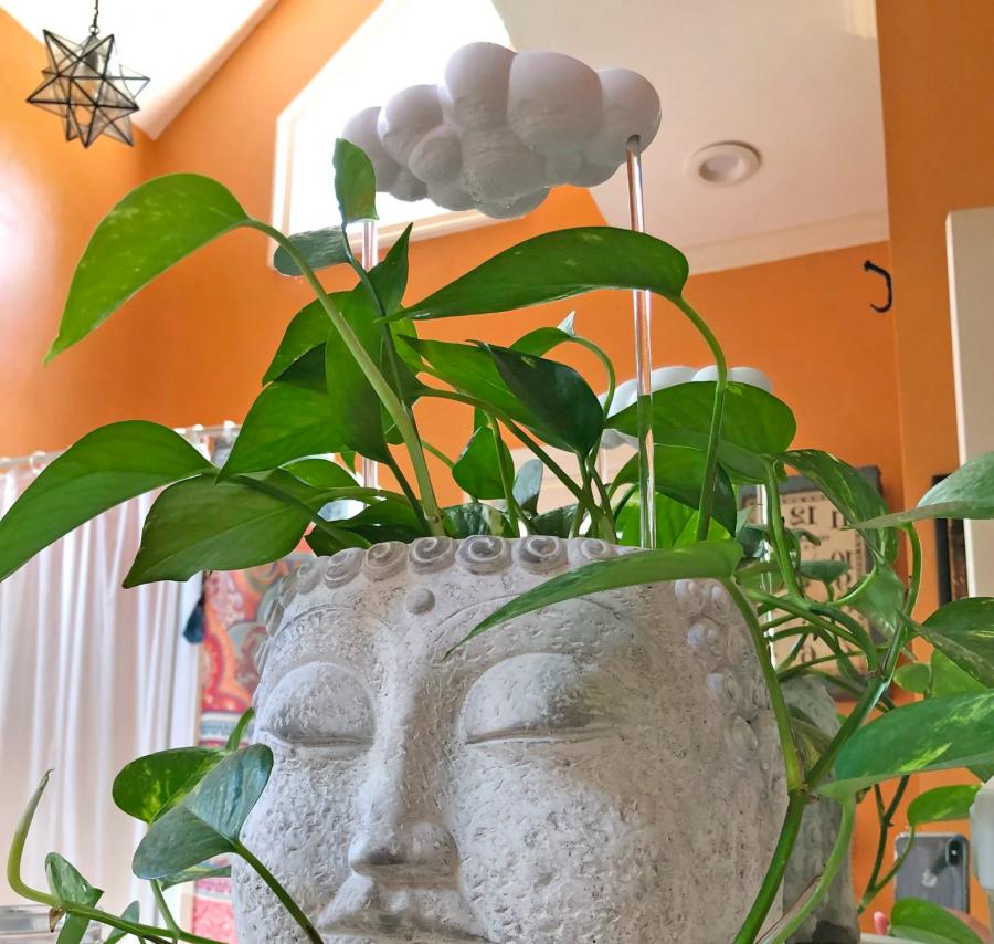 Rain Cloud Dripping Cloud Plant Waterer