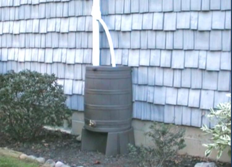 Whiskey Barrel Rain Barrel - Rain Wizard connects to your gutter downspout
