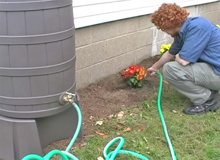 Whiskey Barrel Rain Barrel - Rain Wizard connects to your gutter downspout