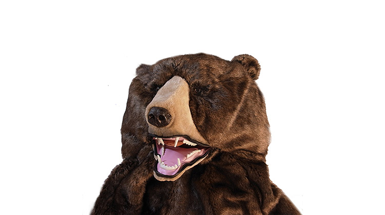 Bear Sleeping Bag
