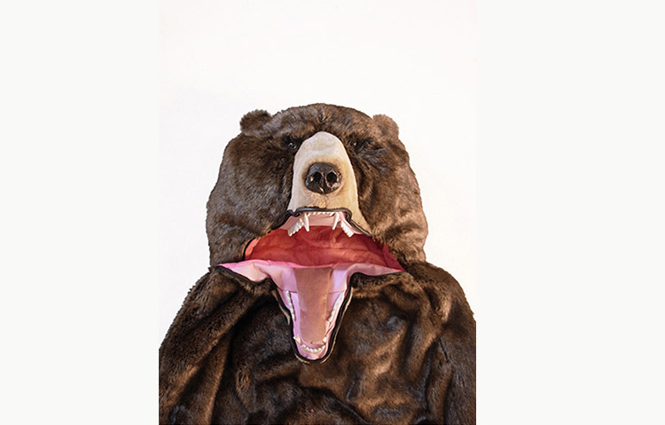 Bear Sleeping Bag