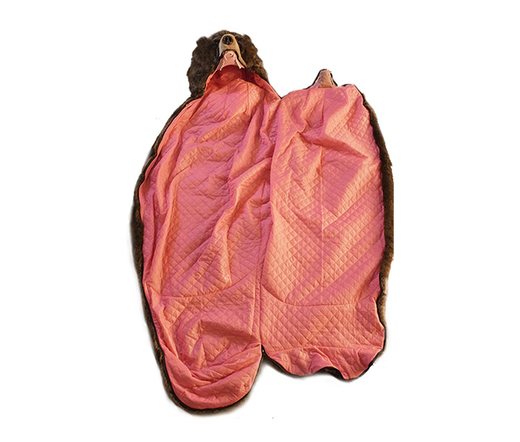 Bear Sleeping Bag