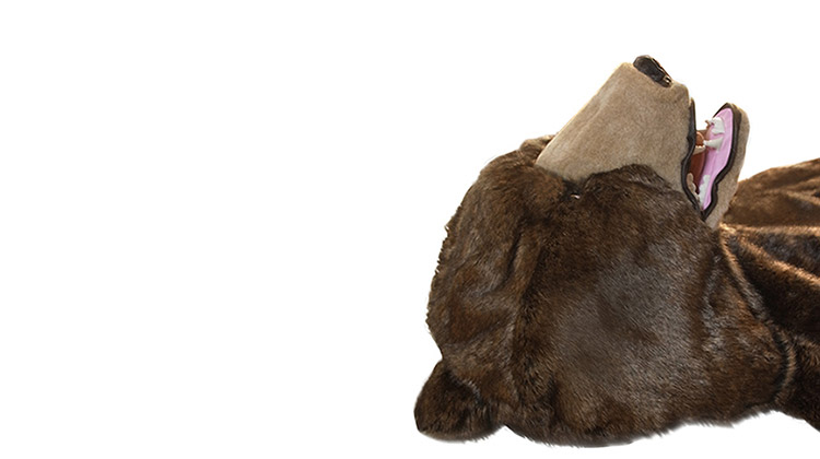 Bear Sleeping Bag