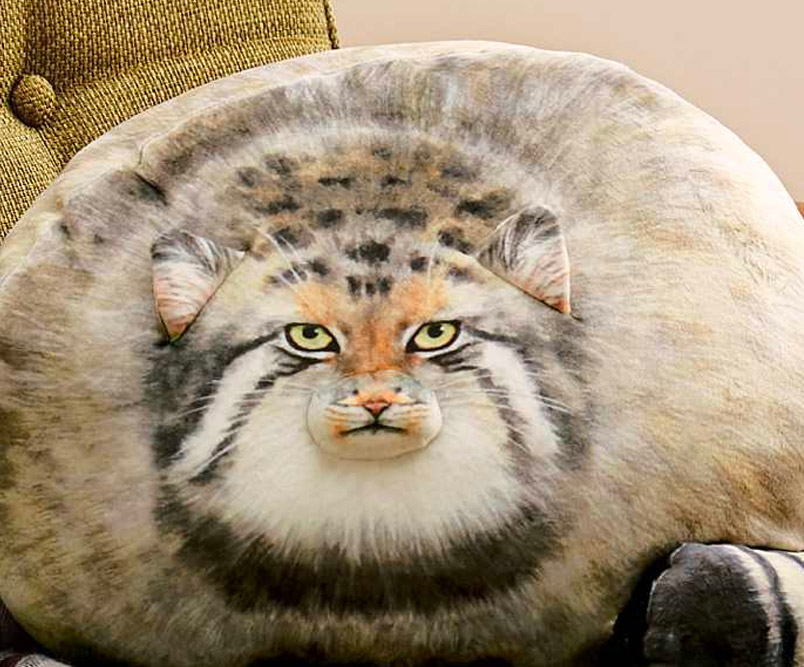 Realistic Chunky Cat Pillow Cushion