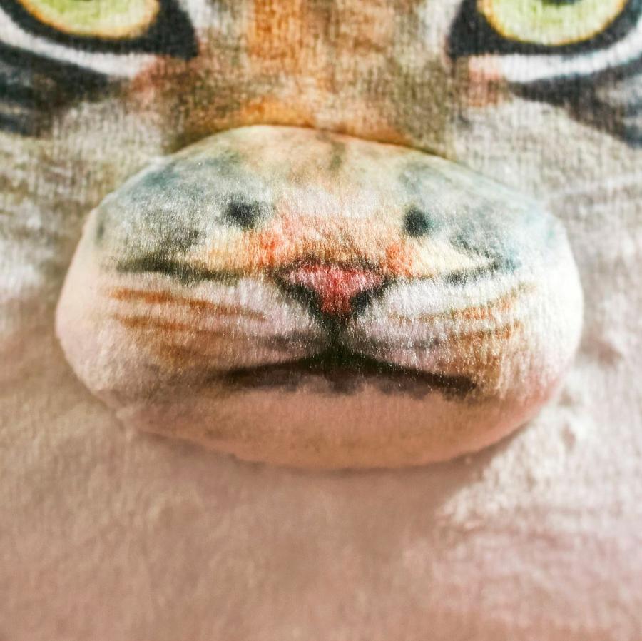 Realistic Chunky Cat Pillow Cushion