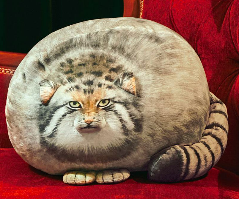 Realistic Chunky Cat Pillow Cushion