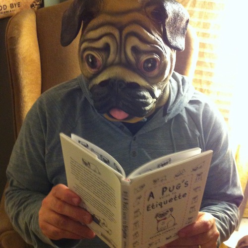 Pug Mask