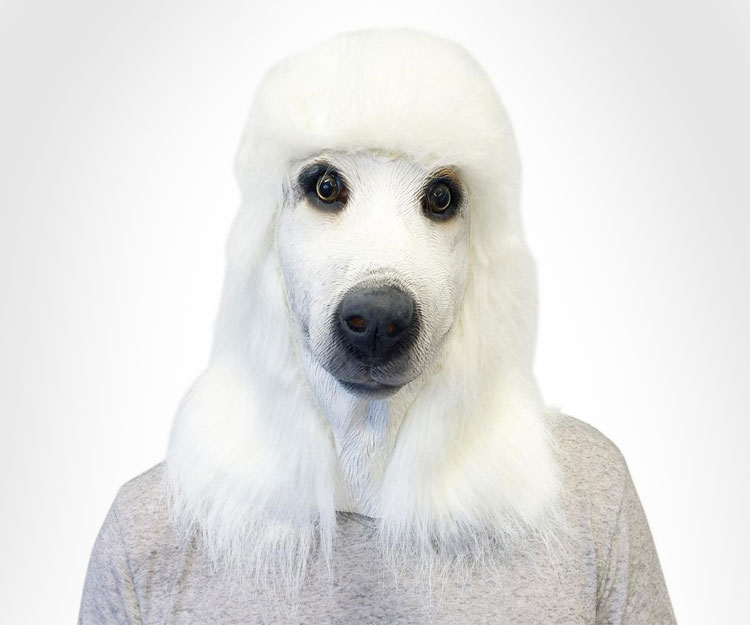 White Poodle Dog Mask