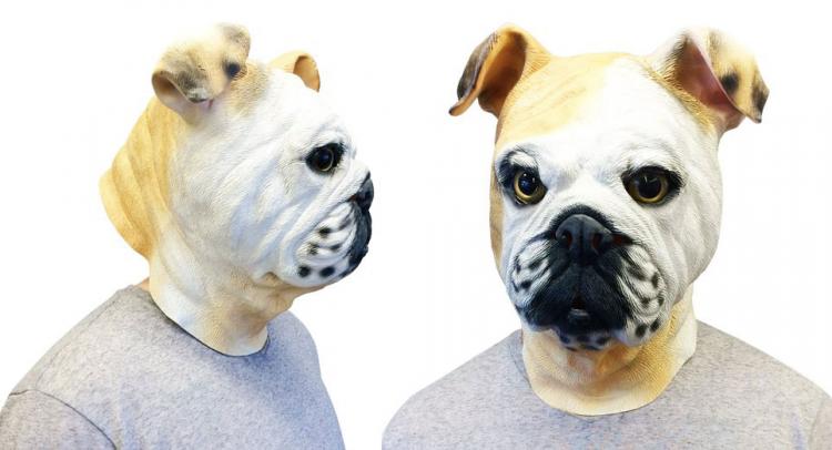 English Bulldog Dog Mask