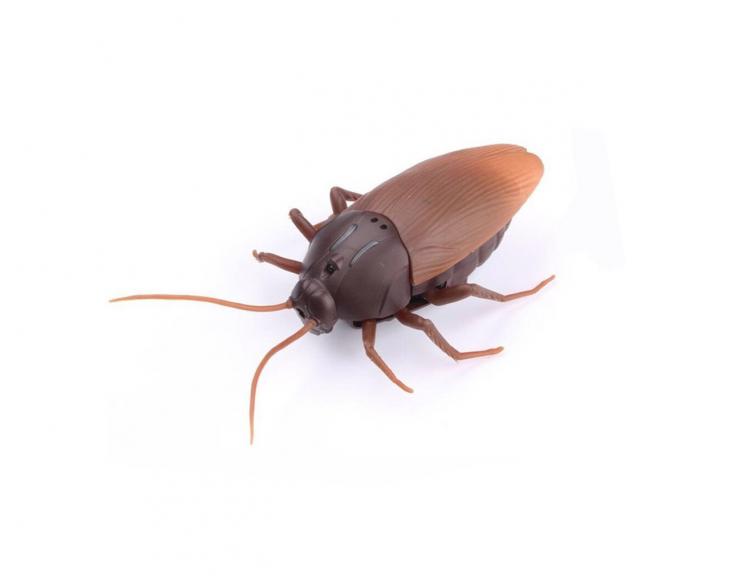 Remote Control Cockroach - Prank Cockroach Robot Toy