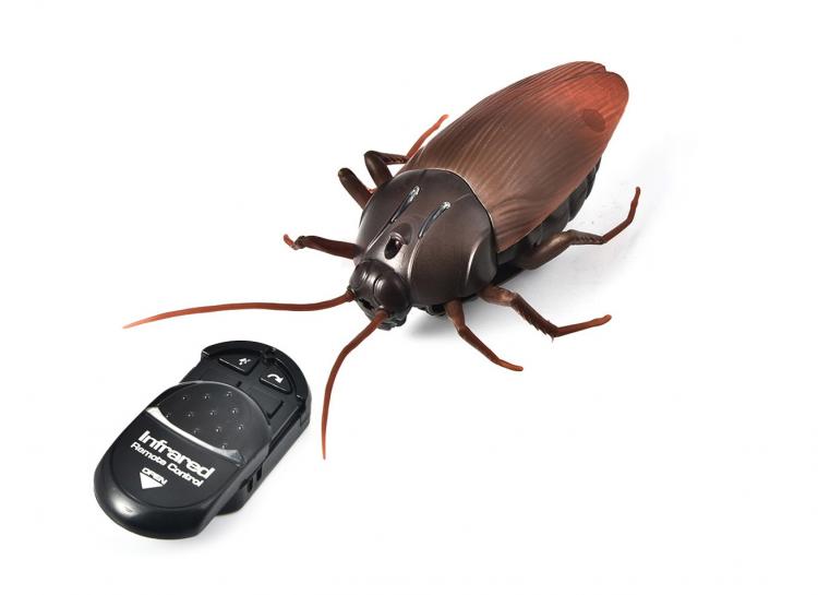Remote Control Cockroach - Prank Cockroach Robot Toy