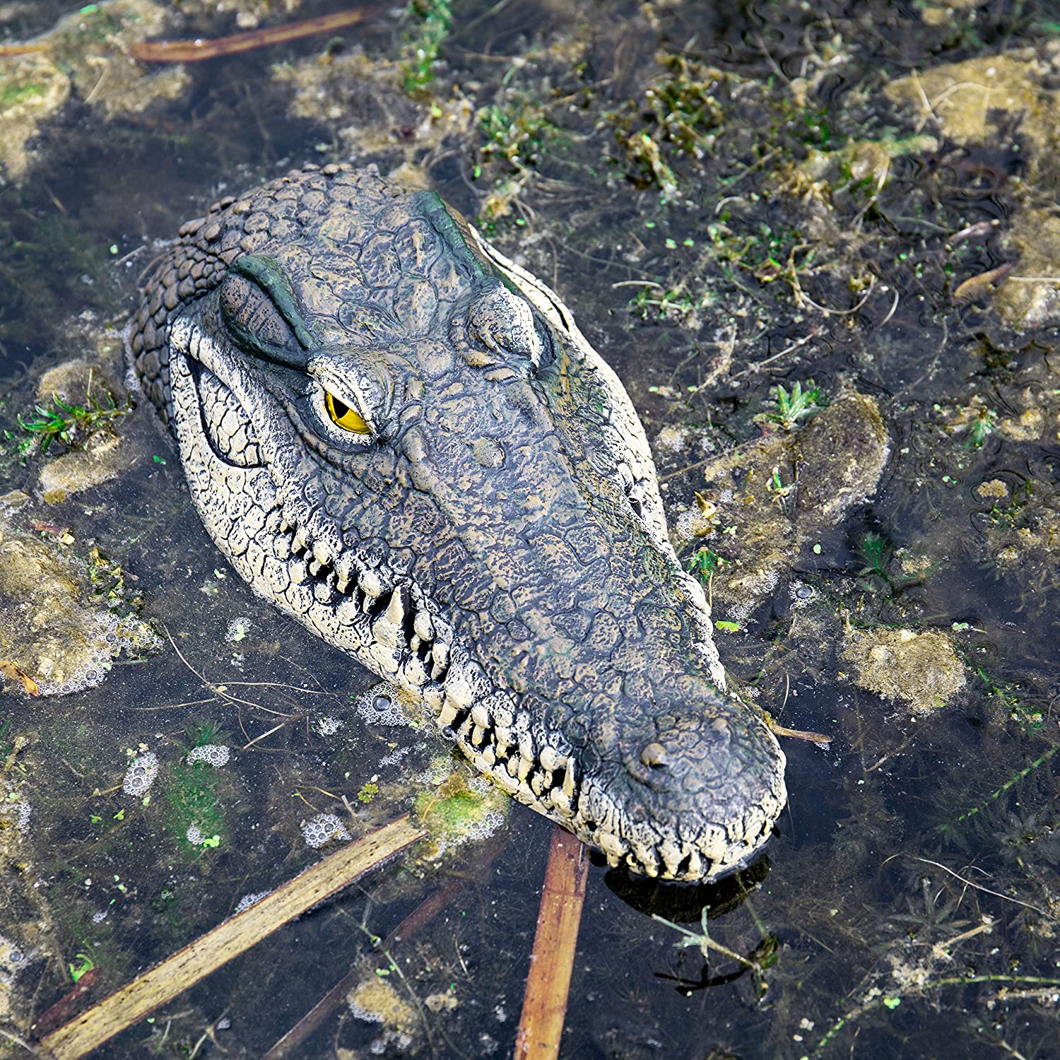 Remote Control Crocodile Head - RC Alligator Head Prank Toy