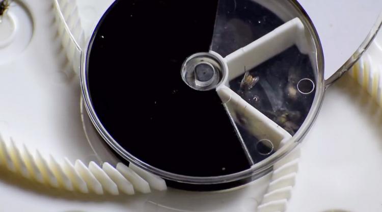 Rotating Fly Trap - Revolving Electronic Housefly trap
