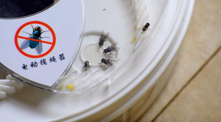 Rotating Fly Trap - Revolving Electronic Housefly trap