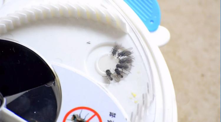 Rotating Fly Trap - Revolving Electronic Housefly trap